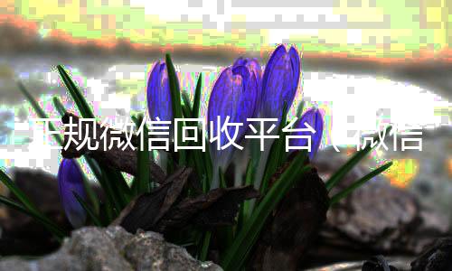 正规微信回收回收微信秒结平台（微信回收正规官网）